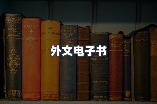 外文电子书